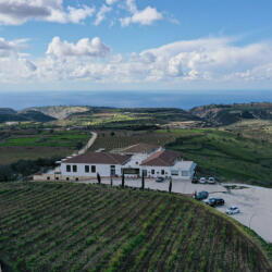 Vasiliko Winery
